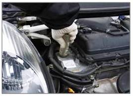 �u�i�m���[�N�X�v������ 